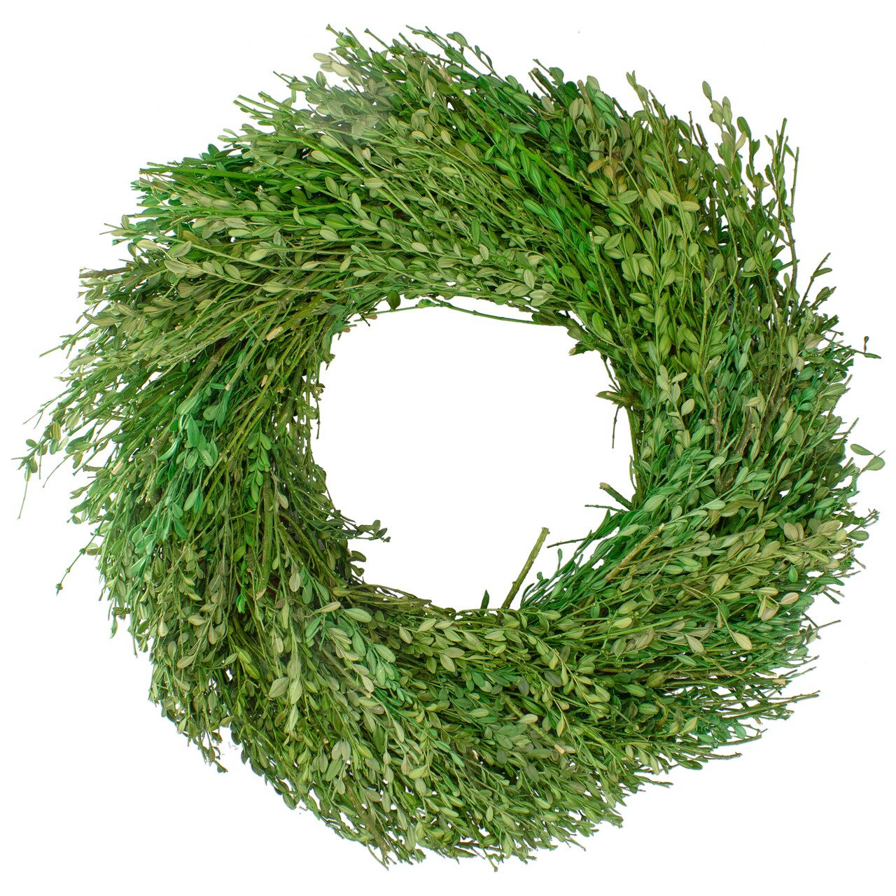 Northlight Green Foliage Artificial Spring Wreath, 20-Inch